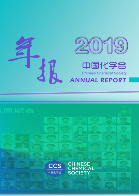 中国化学会2019年年报